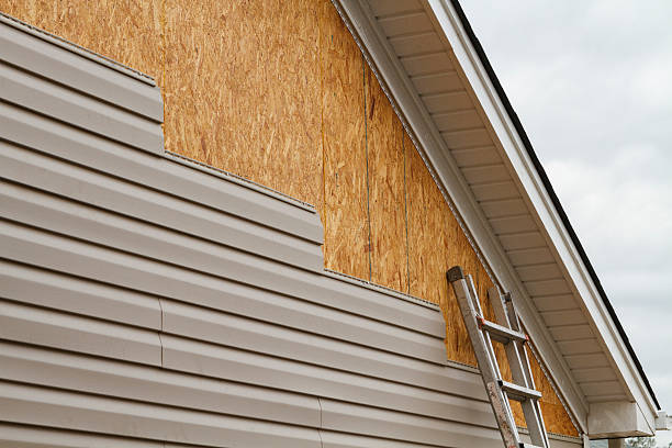 Professional Siding Repair technician working in Buffalo, MN